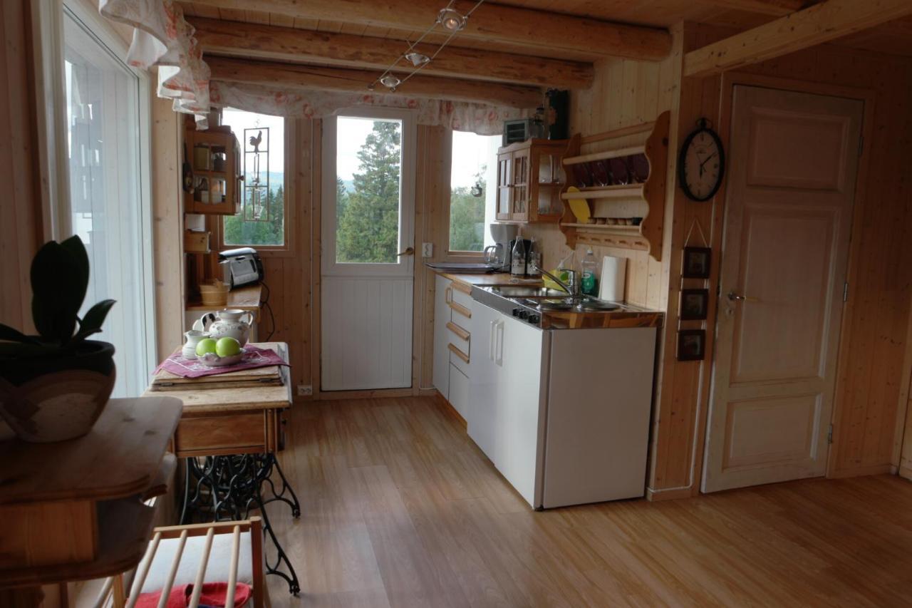 Apartmán Vognbu Gran Nordre Snåsa Exteriér fotografie